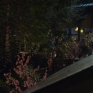 Filename=Justmytype08012.jpg
Filesize=562KiB
Dimensions=1920x1080
Date added=Sep 06, 2023 Justmytype08012.jpg