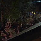 Filename=Justmytype08013.jpg
Filesize=544KiB
Dimensions=1920x1080
Date added=Sep 06, 2023 Justmytype08013.jpg