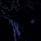 Filename=The_Haunting_in_Connecticut_2__Ghosts_of_Georgia01808.jpg
Filesize=46KiB
Dimensions=900x382
Date added=Aug 08, 2021 The_Haunting_in_Connecticut_2__Ghosts_of_Georgia01808.jpg