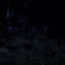 Filename=The_Haunting_in_Connecticut_2__Ghosts_of_Georgia01912.jpg
Filesize=91KiB
Dimensions=900x382
Date added=Aug 08, 2021 The_Haunting_in_Connecticut_2__Ghosts_of_Georgia01912.jpg