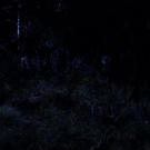 Filename=The_Haunting_in_Connecticut_2__Ghosts_of_Georgia01945.jpg
Filesize=88KiB
Dimensions=900x382
Date added=Aug 08, 2021 The_Haunting_in_Connecticut_2__Ghosts_of_Georgia01945.jpg